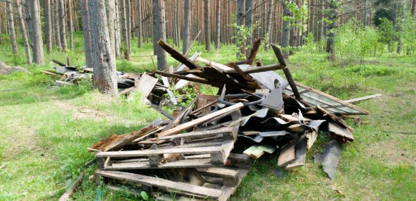 Debris Removal Service in Staten Island